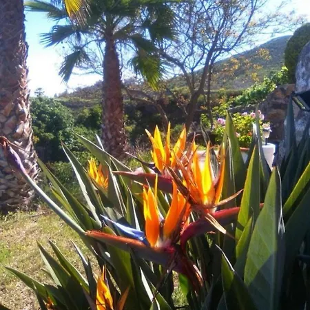 Сasa de vacaciones La Casita Ma Petite Folie Tenerife *