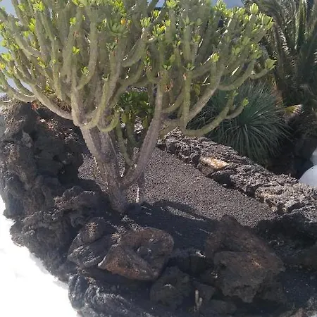 Ma Petite Folie Tenerife